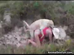 An ebony, long-haired cougar is seen outside fucking and pulling a dog.